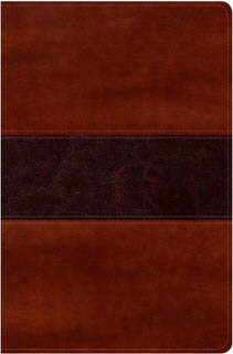 RVR 1960 Biblia del Pescador letra grande, caoba símil piel